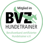 bvz logo