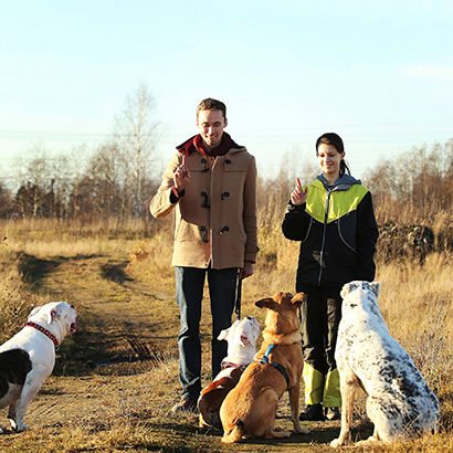 Hundebegegnungen im Außen.Bewegung.Begegnung.Balance.K9Competence